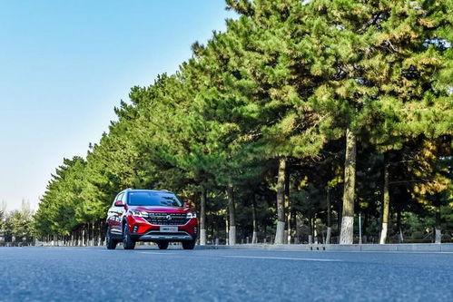 桃花岛品质极速福利在线,畅享云端仙境之旅