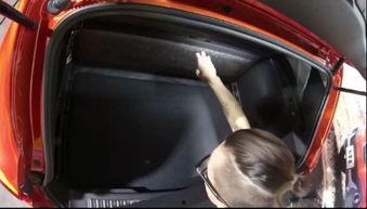 震哥福利专场在线播放,独家精彩内容在线放送，不容错过！